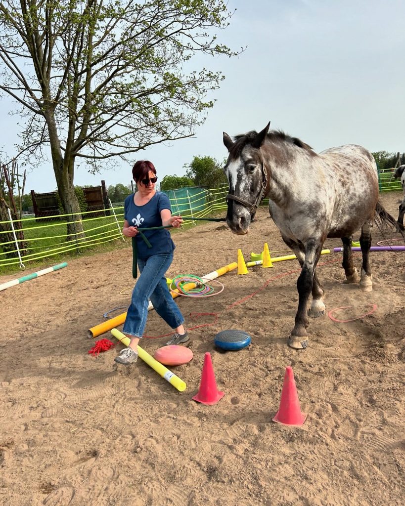 Coaching Teilnehmerin führt Pferd
